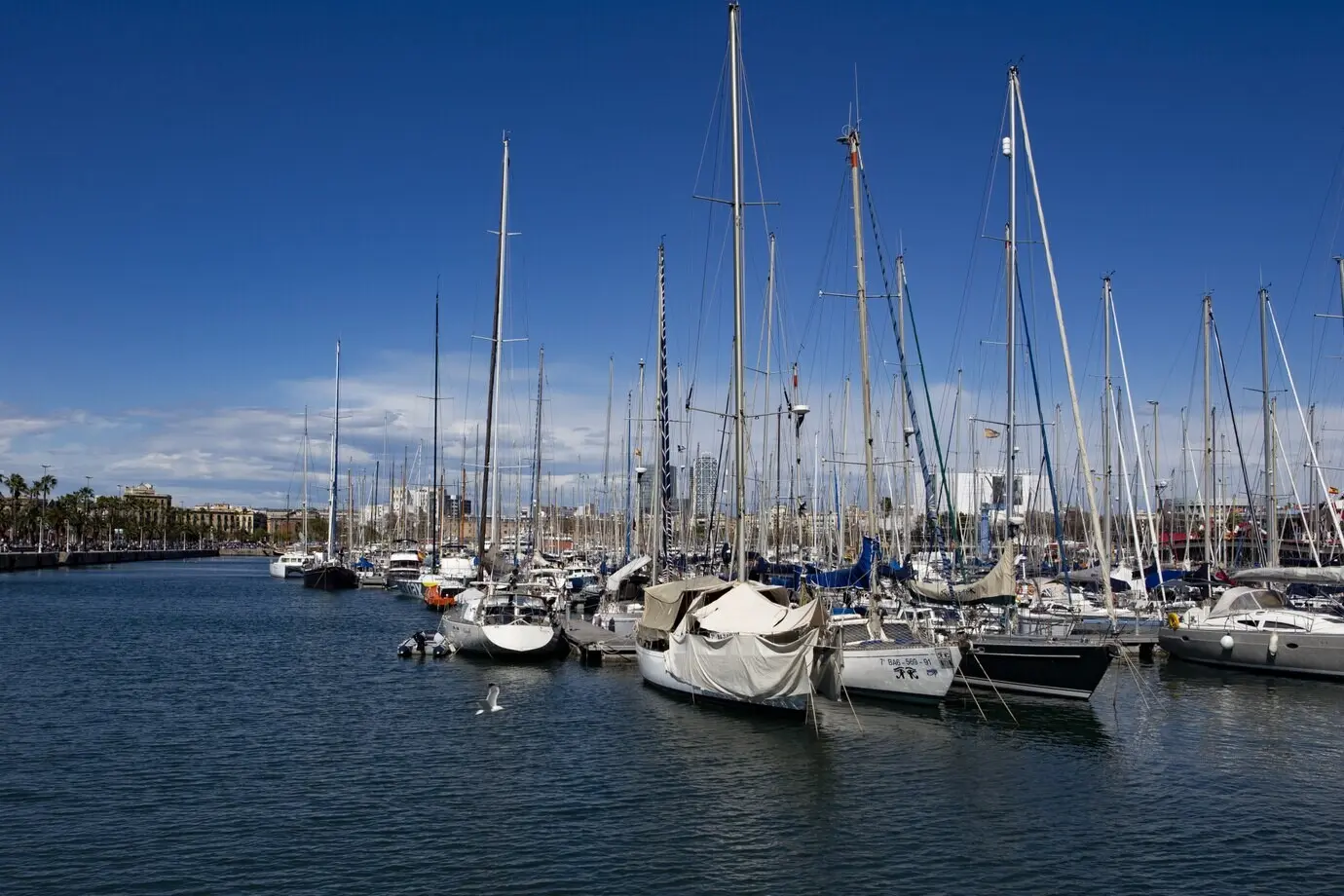 Wunderschöner Blick auf Segelboote am Hafen unter dem klaren blauen Himmel.